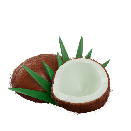 Coconut  3D Icon
